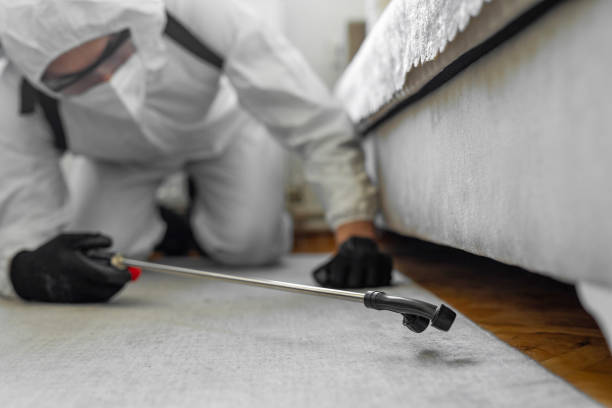 Professional Pest Control technician working in Navarro County County, TX